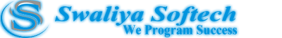 website development services in pune-Swaliya Softech